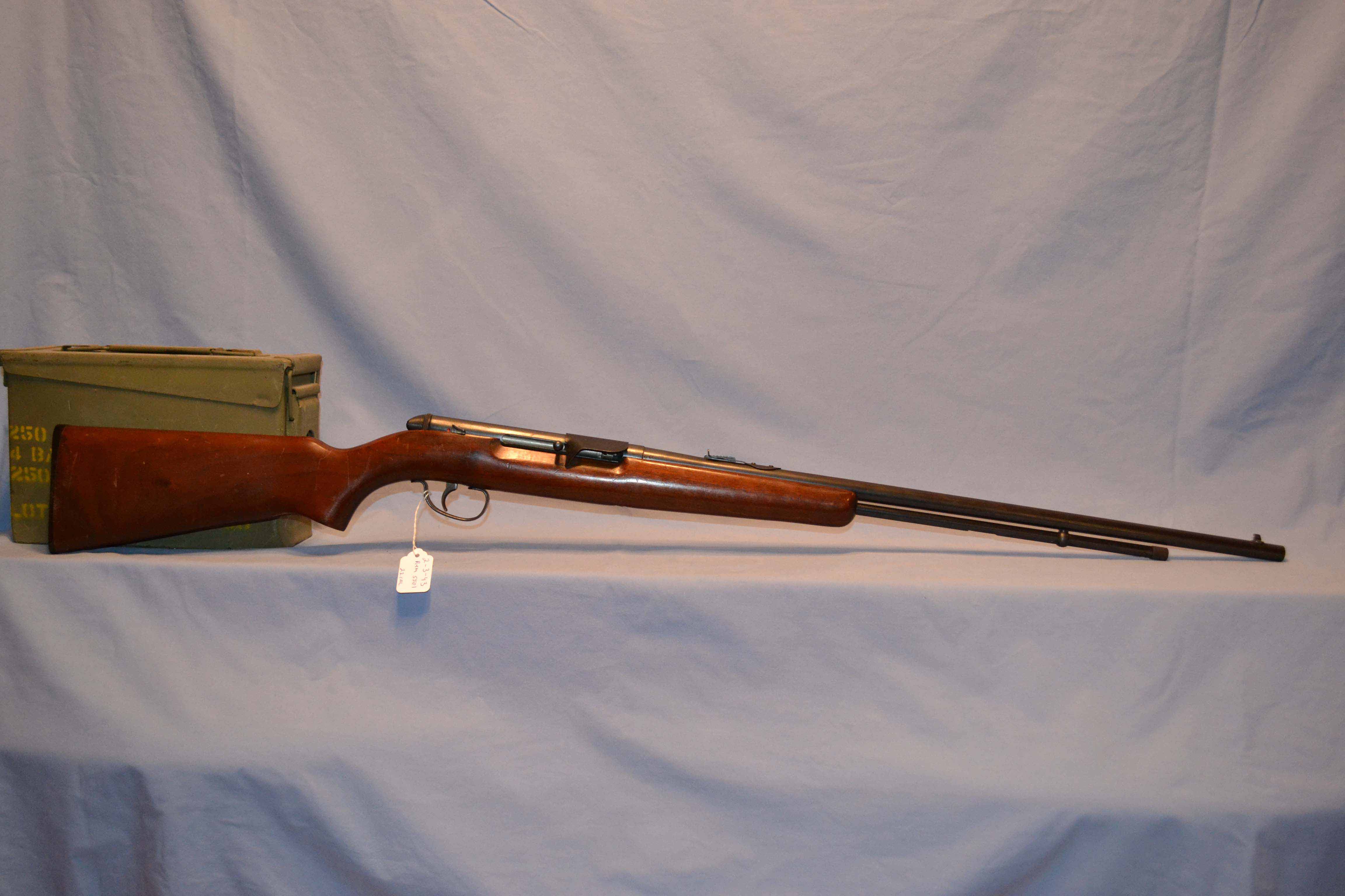 Remington 5501, 22lr semi auto